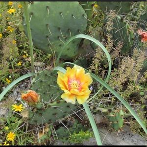 Meet your Posher, Avery